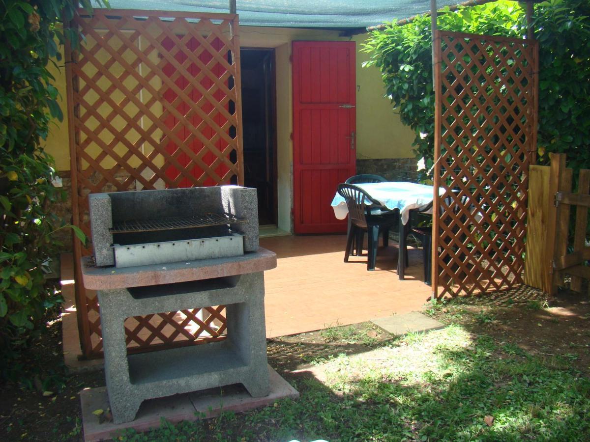 Casa Vacanze Guardamare San Vincenzo Eksteriør billede
