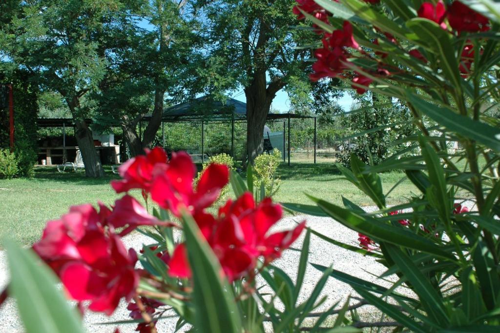 Casa Vacanze Guardamare San Vincenzo Eksteriør billede