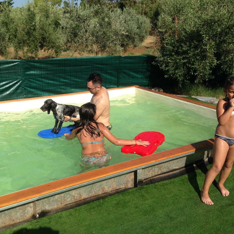 Casa Vacanze Guardamare San Vincenzo Eksteriør billede