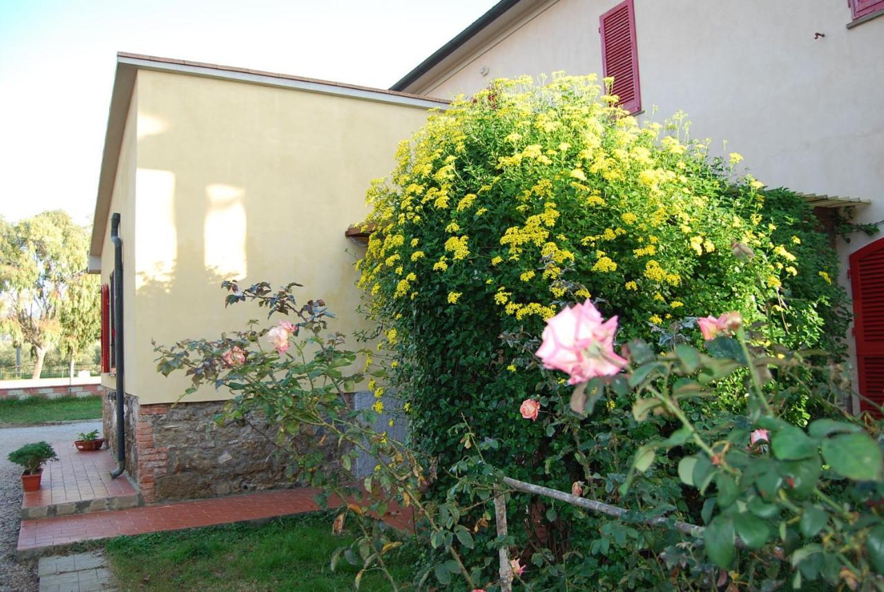 Casa Vacanze Guardamare San Vincenzo Eksteriør billede